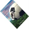 soccer-symbology-lois-wagner-ring b