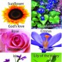 flowers-faith-symbology-lois-wagner-bracelet-stretch c flowers-faith-symbology-lois-wagner-bracelet-stretch c