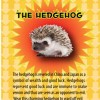 hedgehog-good-luck-symbology-lois-wagner-necklace c