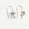 pi-r-squared-symbology-lois-wagner-earrings a