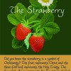 strawberry-symbol-symbology-lois-wagner-necklace c