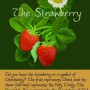 strawberry-symbol-symbology-lois-wagner-necklace c strawberry-symbol-symbology-lois-wagner-necklace c