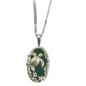 The Ancient Turtle! Their presence speaks to longevity, strength, and perseverance. Hang Ten!